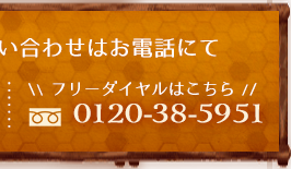 0120-38-5951（フリーダイヤル）